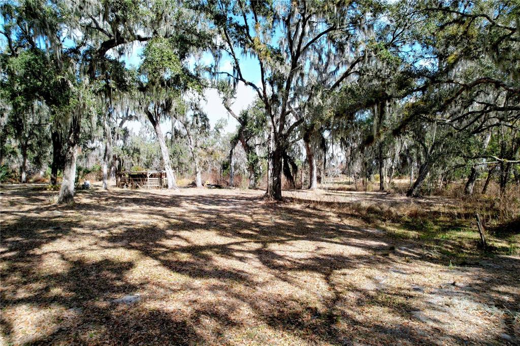 15210 Rough Diamond Ranch Road Lithia, FL 33547 - Photo 28 of 76