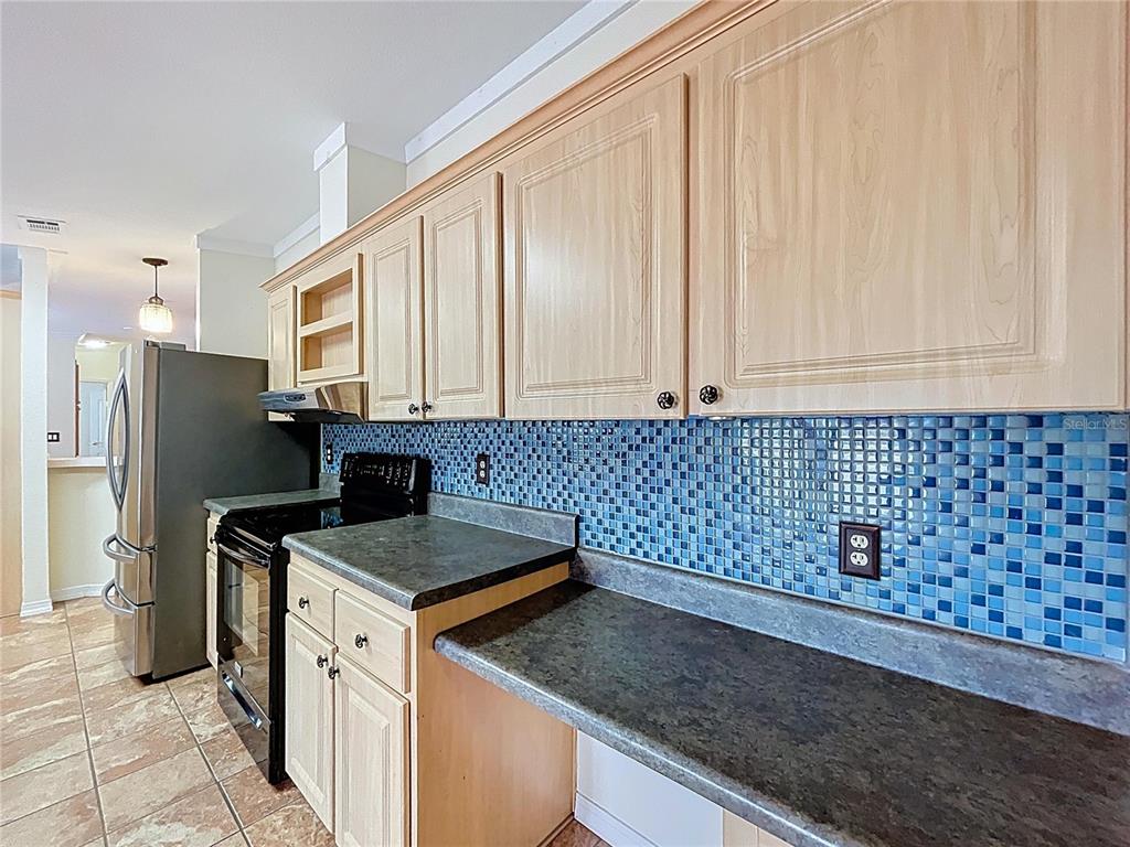 15210 Rough Diamond Ranch Road Lithia, FL 33547 - Photo 44 of 76 a kitchen that has a sink and a stove