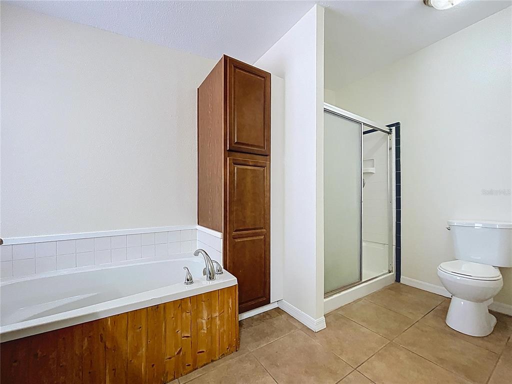 15210 Rough Diamond Ranch Road Lithia, FL 33547 - Photo 66 of 76