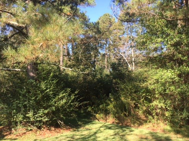 177 Siloam Church Road Magee, MS 39111 - Photo 13 of 14 Photo 13