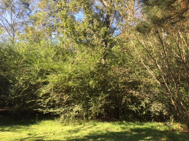177 Siloam Church Road Magee, MS 39111 - Photo 14 of 14 Photo 14