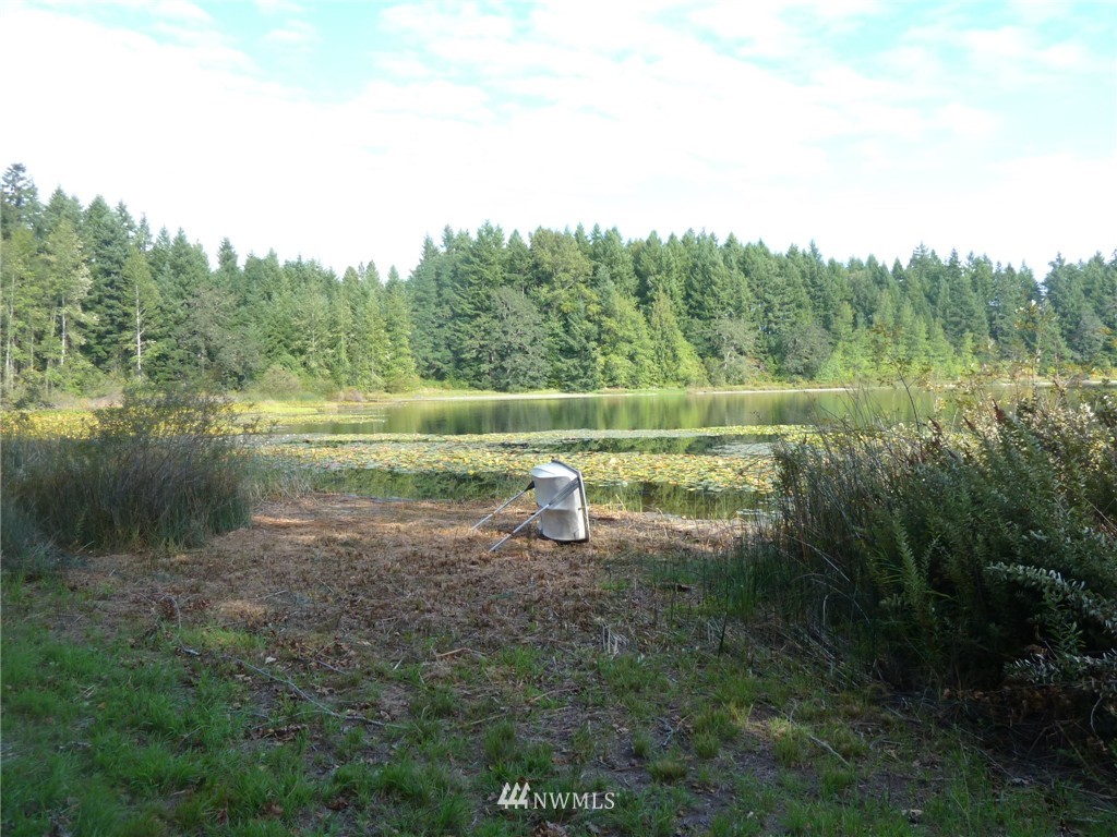 4516 Ruddell Road Southeast Lacey, WA 98503 - Photo 24 of 24 Gallery Image 24