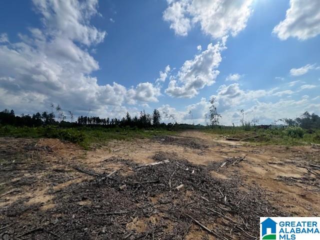 11482 Camp Oliver Road Adger, AL 35006 - Photo 29 of 48