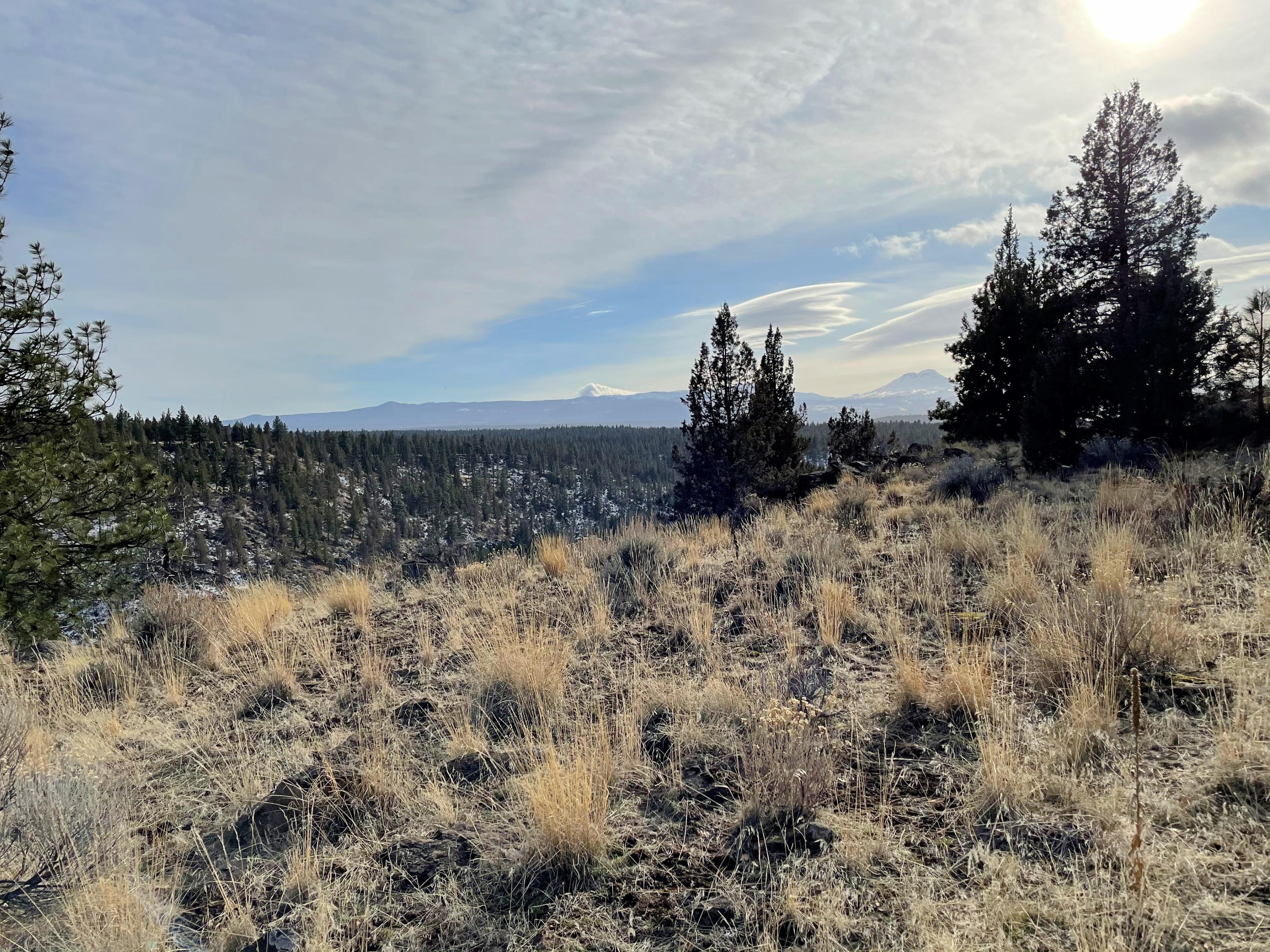 17157 Mountain View Road Sisters, OR 97759 - Photo 12 of 20 13