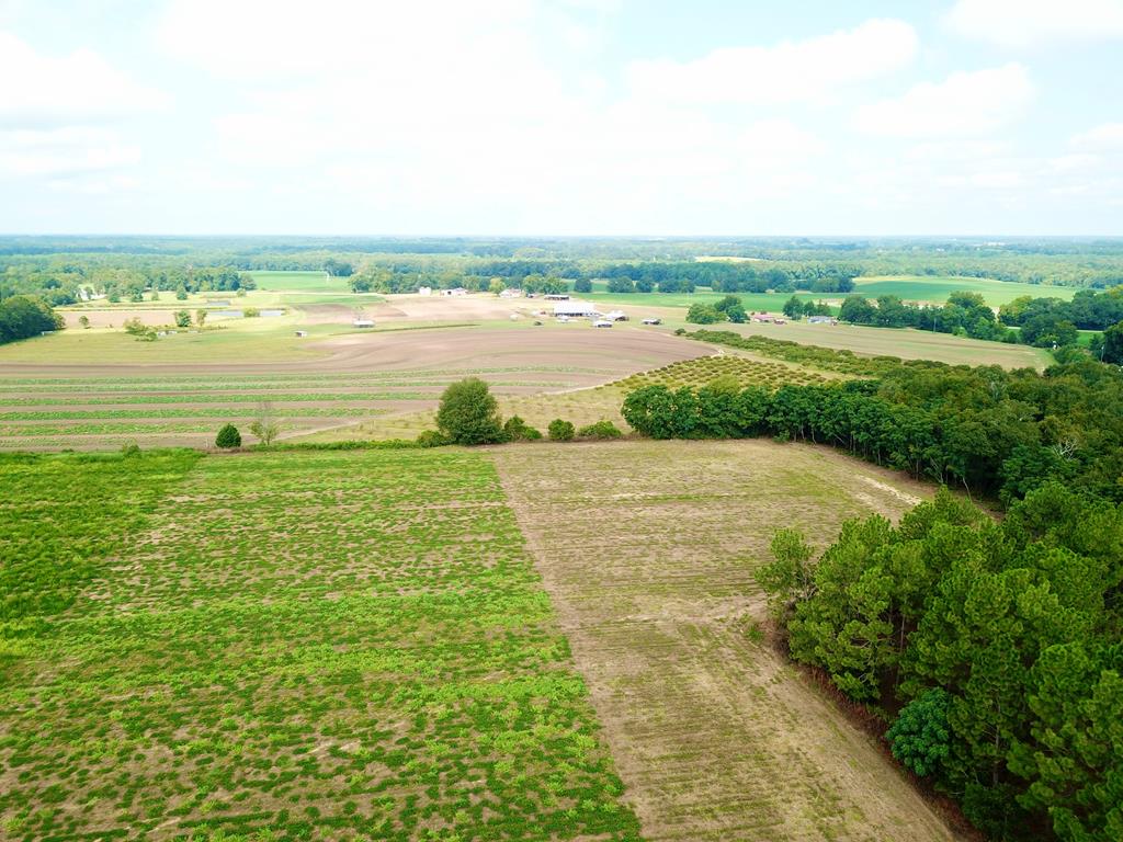 10.69-acres Summer Road Slocomb, AL 36375 - Photo 45 of 51