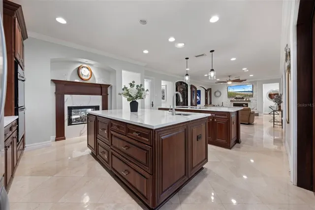 $1,350,000 | 1006 Lake Cooper Drive, Lutz, FL 33548