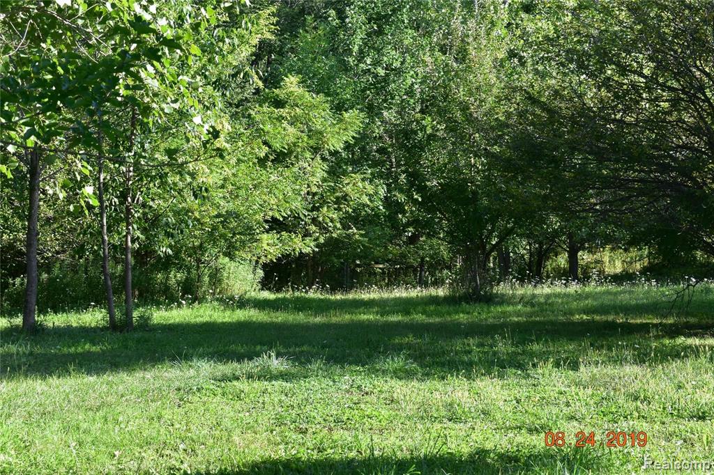 16971 West Schroeder Road Brant, MI 48614 - Photo 4 of 20