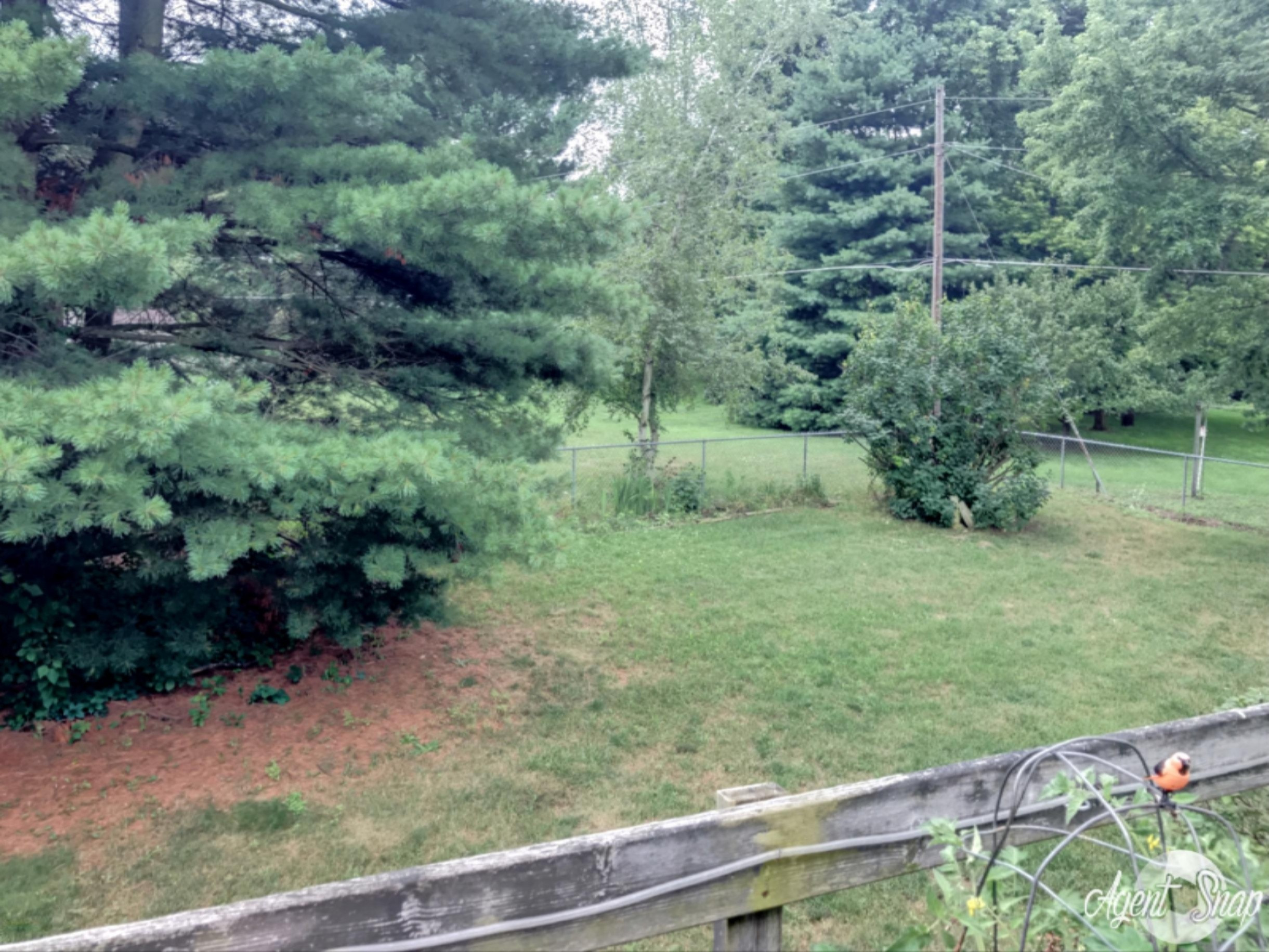4325 East River Road Buchanan, MI 49107 - Photo 21 of 25 Backyard 2