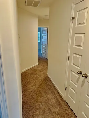 a view of a backyard with plants and large tree