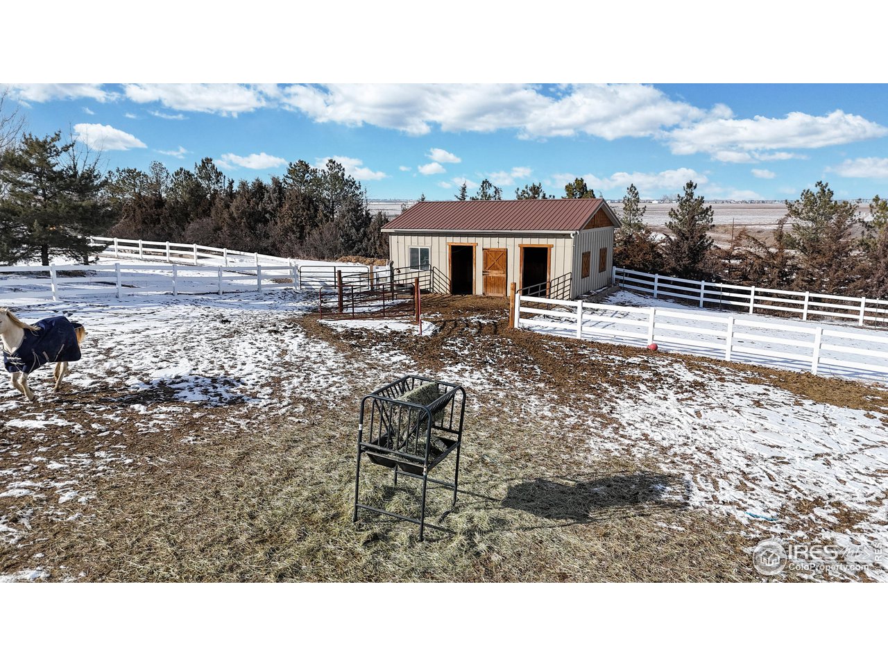 7904 Windsong Road Windsor, CO 80550 - Photo 39 of 40 Fenced Pasture and Stable