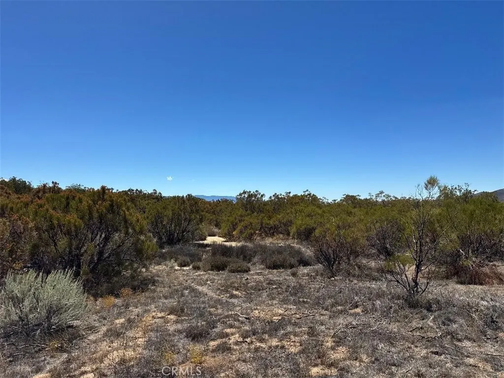 0 Pony Anza, CA 92539 - Photo 22 of 23