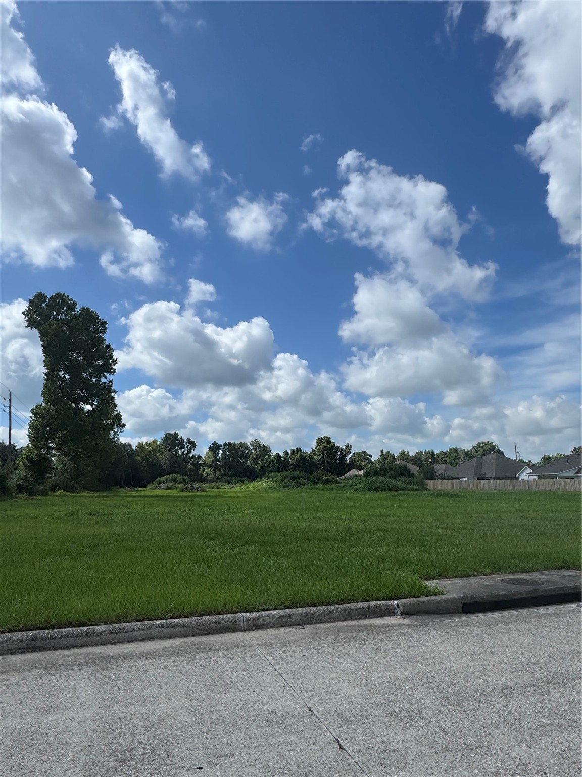0 South Winfree Street Dayton, TX 77535 - Photo 14 of 14 a view of a yard