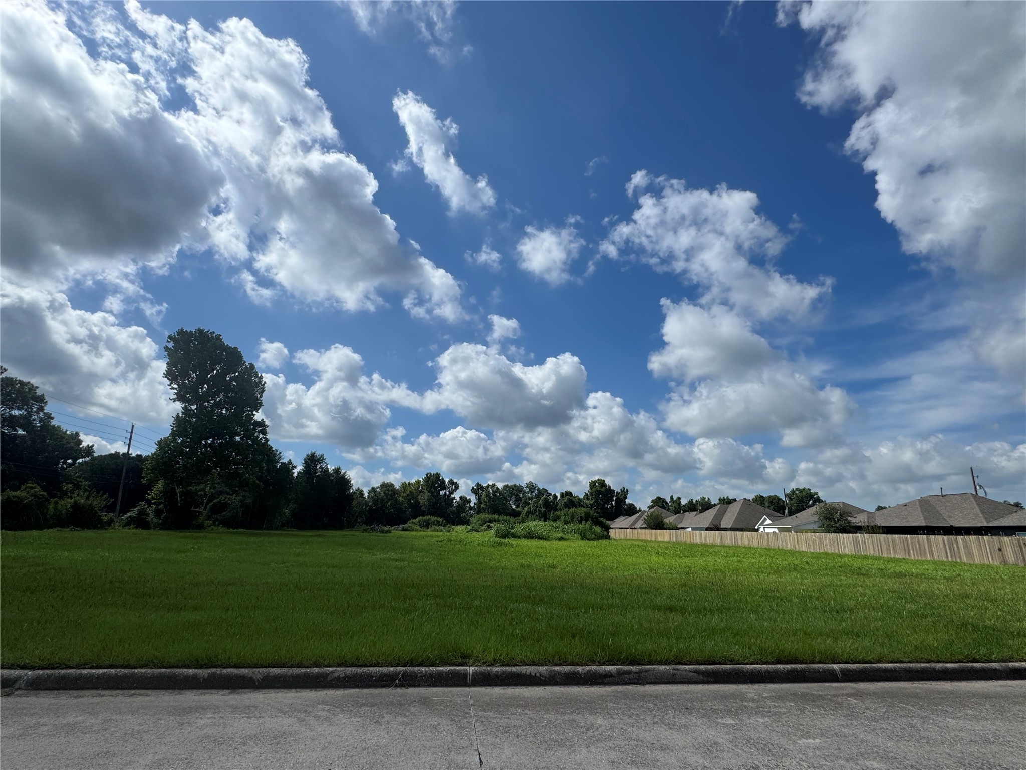 0 South Winfree Street Dayton, TX 77535 - Photo 6 of 14 a view of a big yard with lots of green space