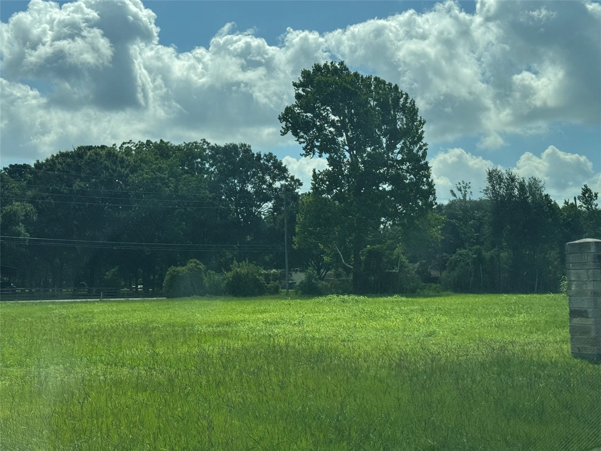 0 South Winfree Street Dayton, TX 77535 - Photo 9 of 14 a view of a garden