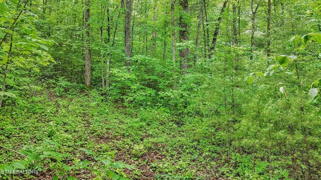 $84,900 | 1852 Oakwood Road, Walland, TN 37886