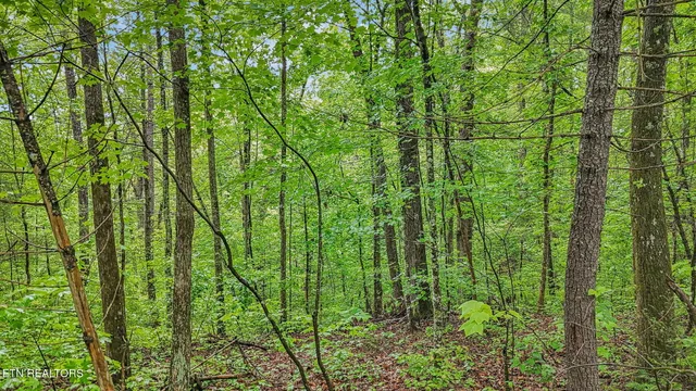 $84,900 | 1852 Oakwood Road, Walland, TN 37886