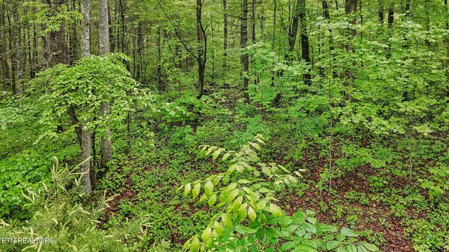 $84,900 | 1852 Oakwood Road, Walland, TN 37886