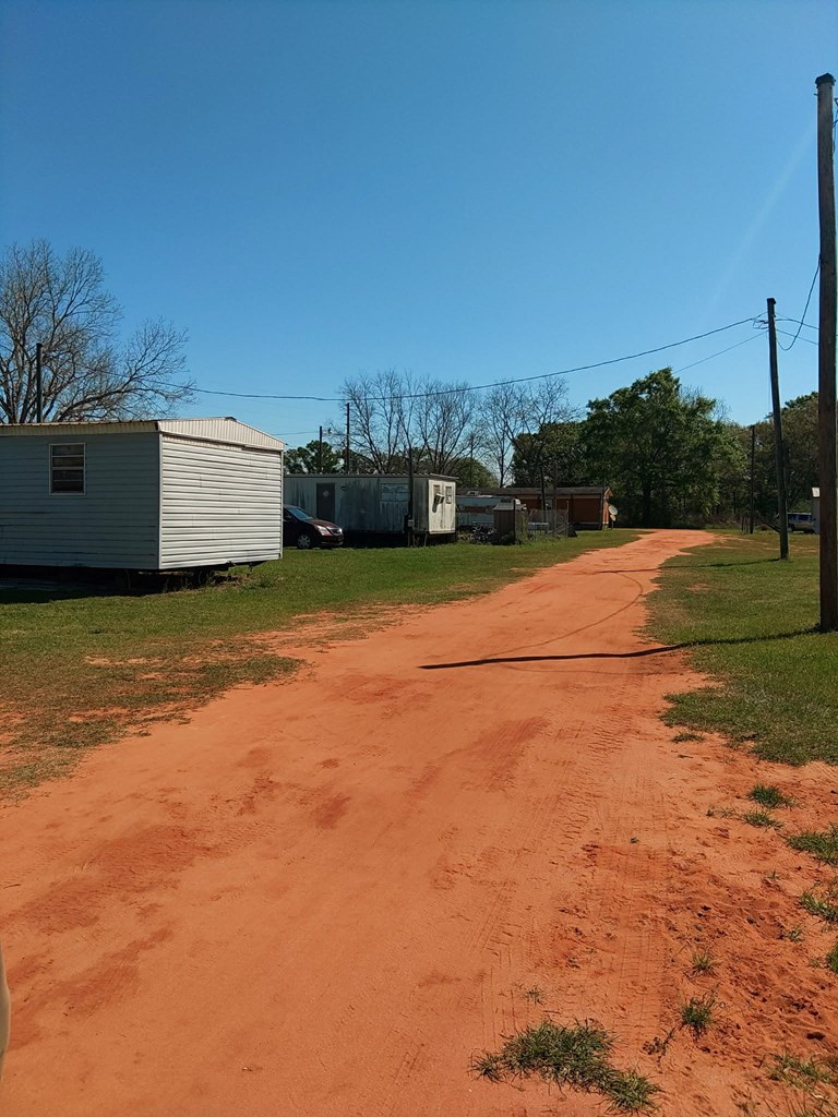 1251 Davis Mill Road Slocomb, AL 36375 - Photo 3 of 4