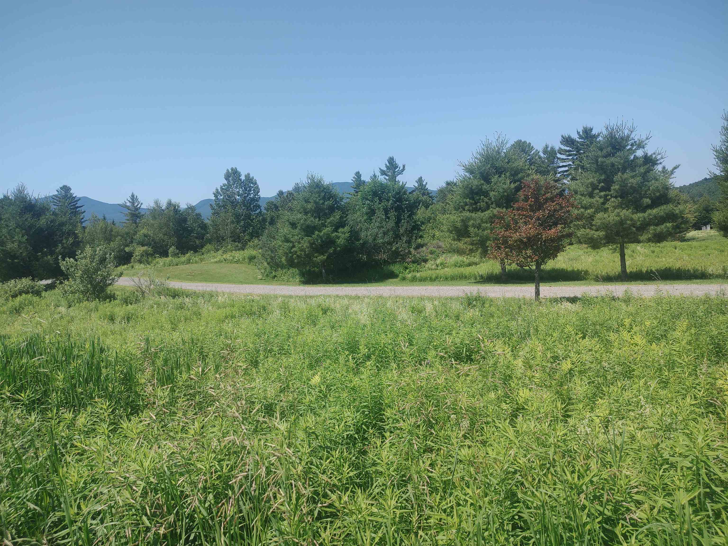 0 Plot Road, Unit 3 Johnson, VT 05656 - Photo 3 of 6