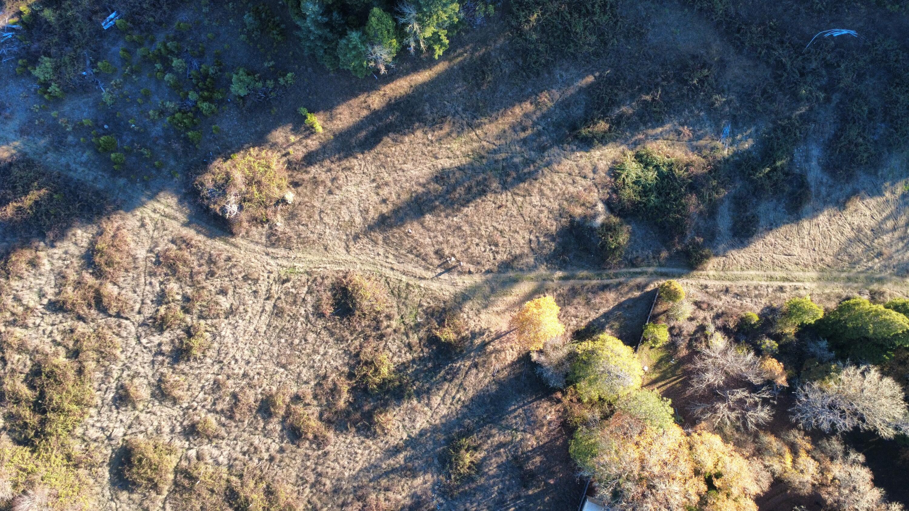 188 Pisqually Lane Azalea, OR 97410 - Photo 7 of 19 dji_fly_20251115_144842_55_1763247177420