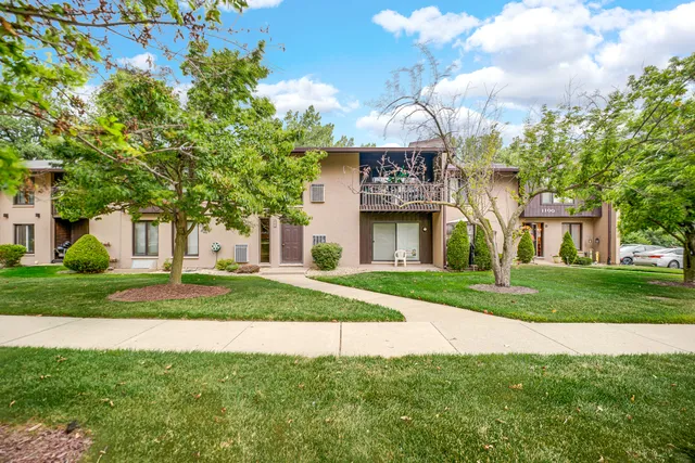 a view of a house with a yard and a large tree