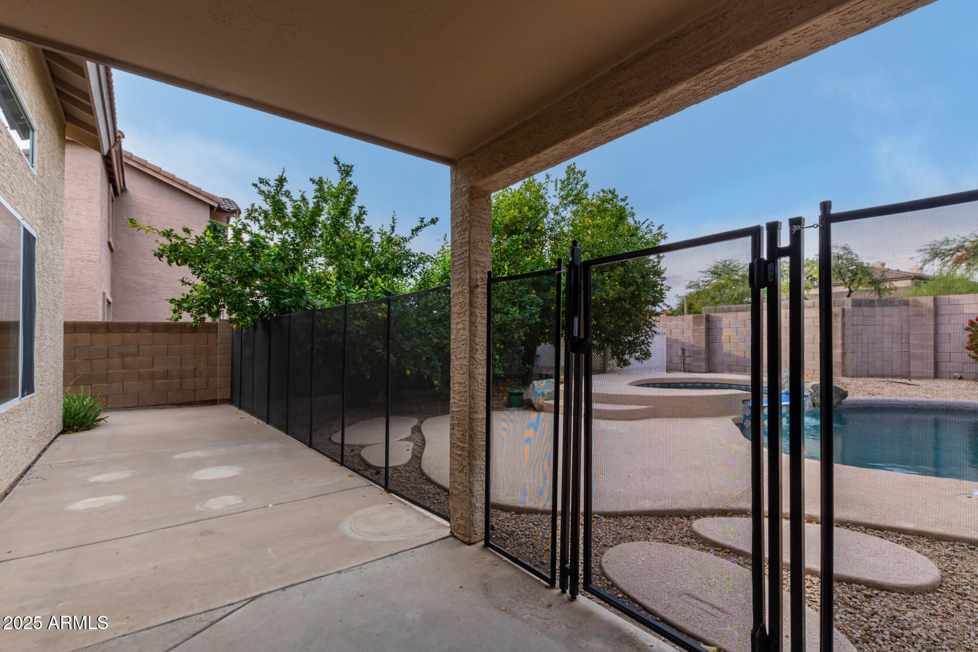 4522 East Rowel Road Phoenix, AZ 85050 - Photo 42 of 49 a view of backyard with potted plant and floor to ceiling window