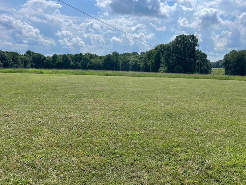 452 Chaffin Road Lafayette, TN 37083 - Photo 14 of 14 a view of outdoor space with swimming pool and green space