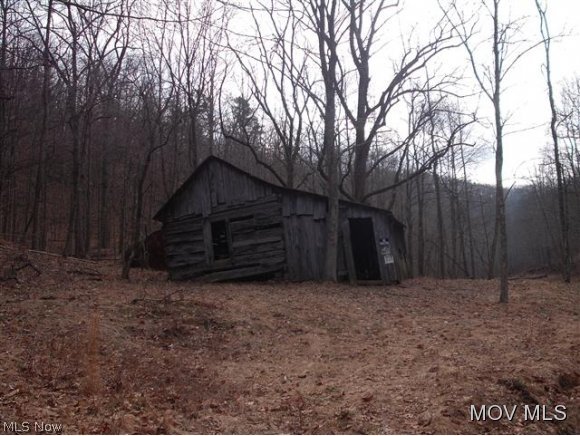 0 C Road Smithville, WV 26178 - Photo 5 of 9 Gallery Image 5