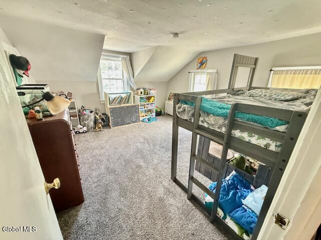 163 Ridge Street Glens Falls, NY 12801 - Photo 15 of 22 IMG_9187