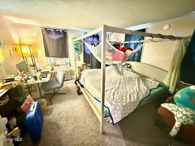 163 Ridge Street Glens Falls, NY 12801 - Photo 6 of 22 IMG_9171 (1)