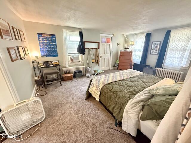 163 Ridge Street Glens Falls, NY 12801 - Photo 7 of 22 IMG_9174 (1)