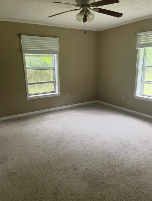 1381 Franklin Road Heflin, LA 71039 - Photo 10 of 11 Gallery Image 10