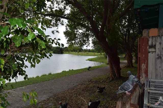 a view of a lake from a yard