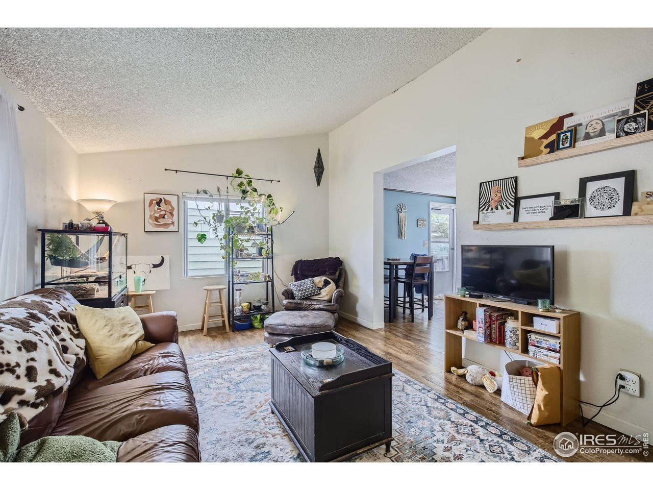 611 South Bryan Avenue Fort Collins, CO 80521 - Photo 12 of 23 Living Room