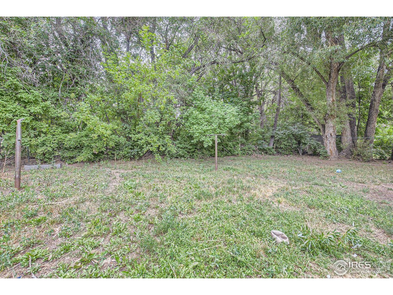 611 South Bryan Avenue Fort Collins, CO 80521 - Photo 19 of 23 Backyard