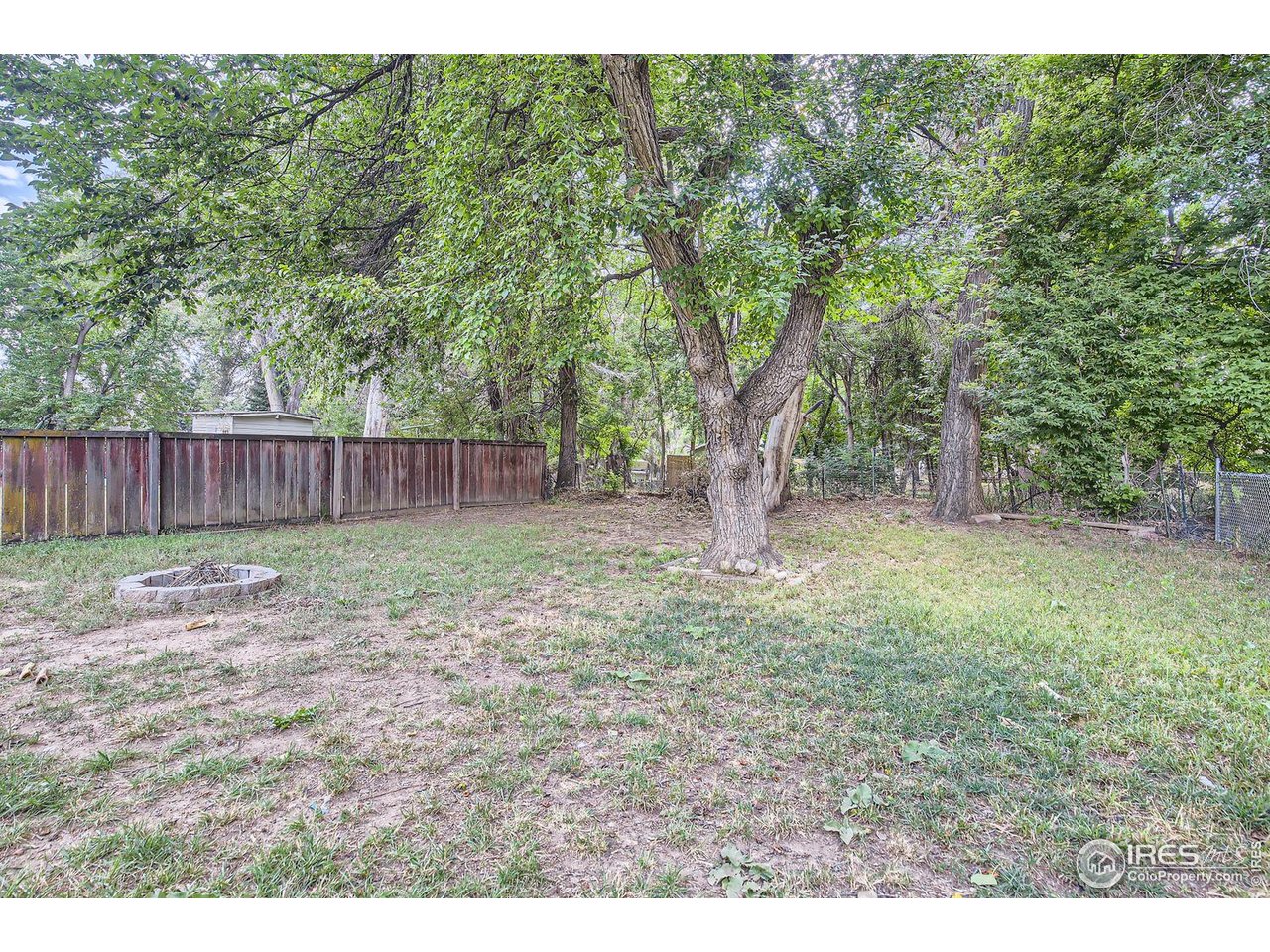 611 South Bryan Avenue Fort Collins, CO 80521 - Photo 22 of 23 Backyard