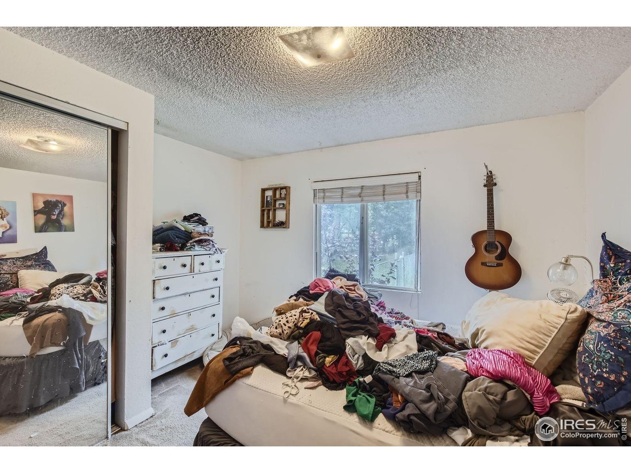 611 South Bryan Avenue Fort Collins, CO 80521 - Photo 9 of 23 Primary Bedroom