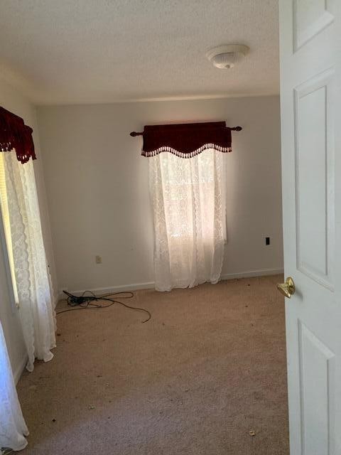 348 Howard Road Decatur, TN 37322 - Photo 18 of 26 Gallery Image 18