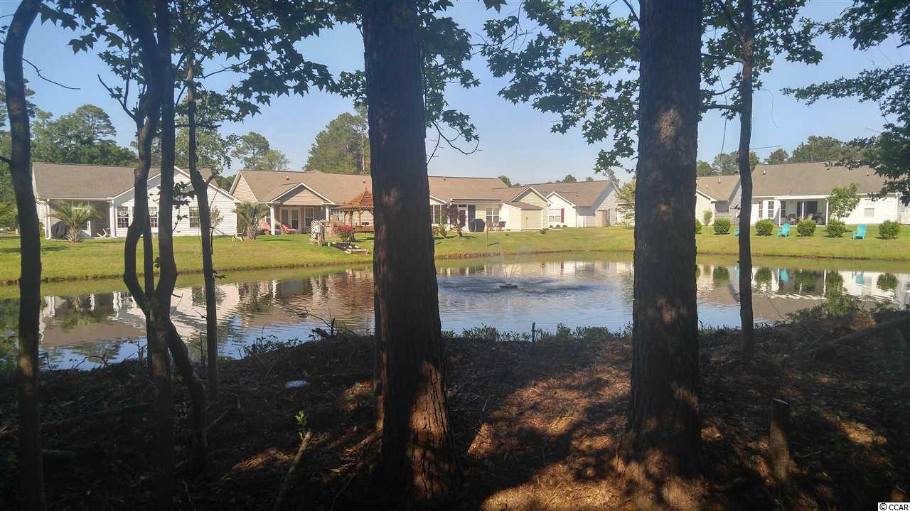 204 Prestwick Road Myrtle Beach, SC 29588 - Photo 9 of 40 Gallery Image 9