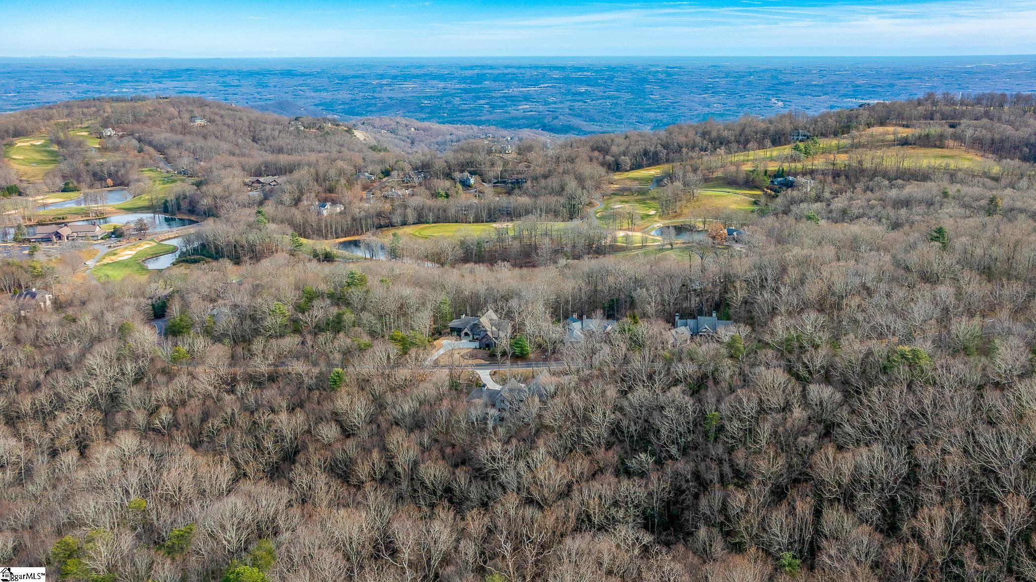 112 Blazing Star Trail Landrum, SC 29356 - Photo 49 of 50