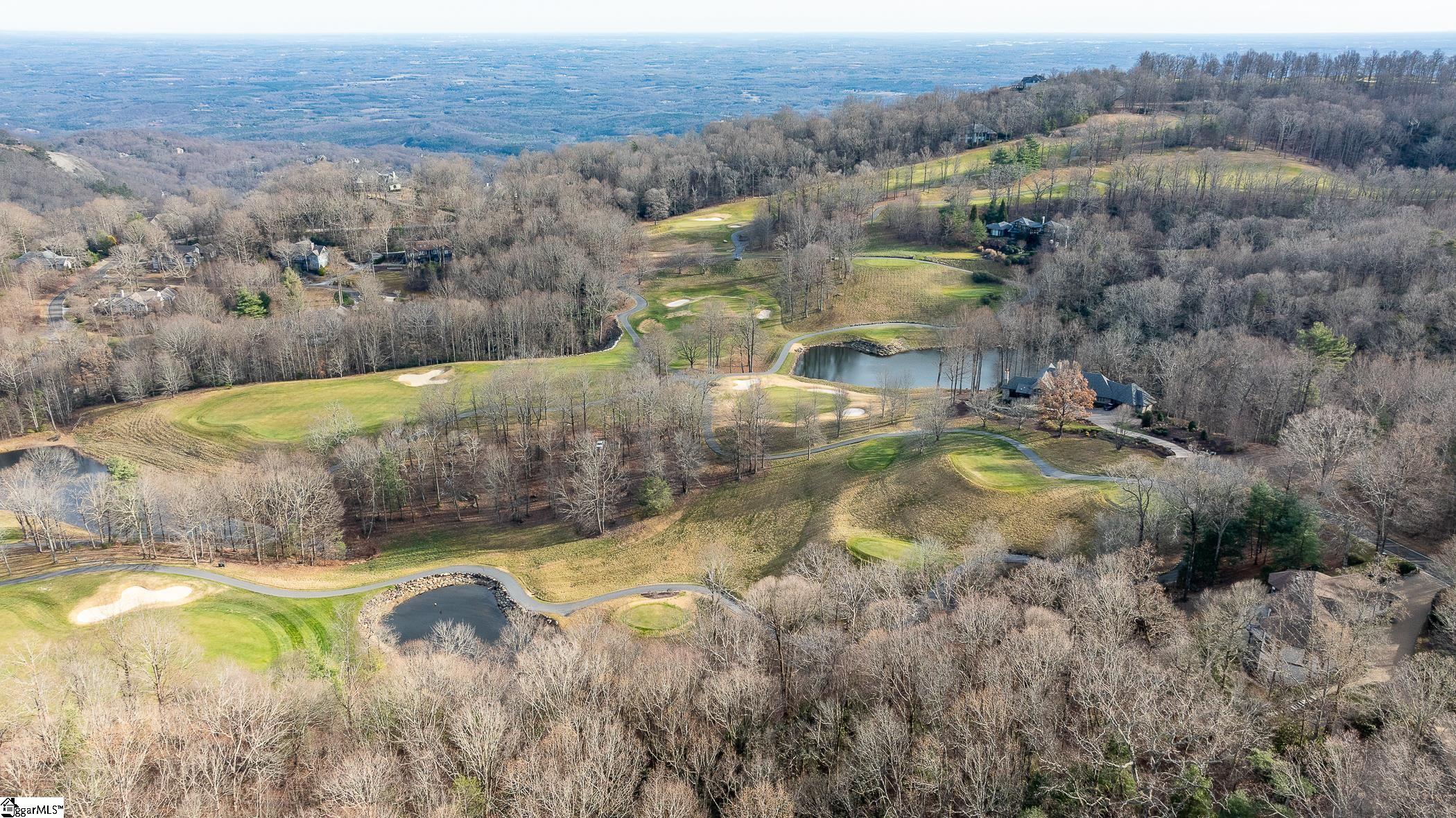 112 Blazing Star Trail Landrum, SC 29356 - Photo 49 of 50