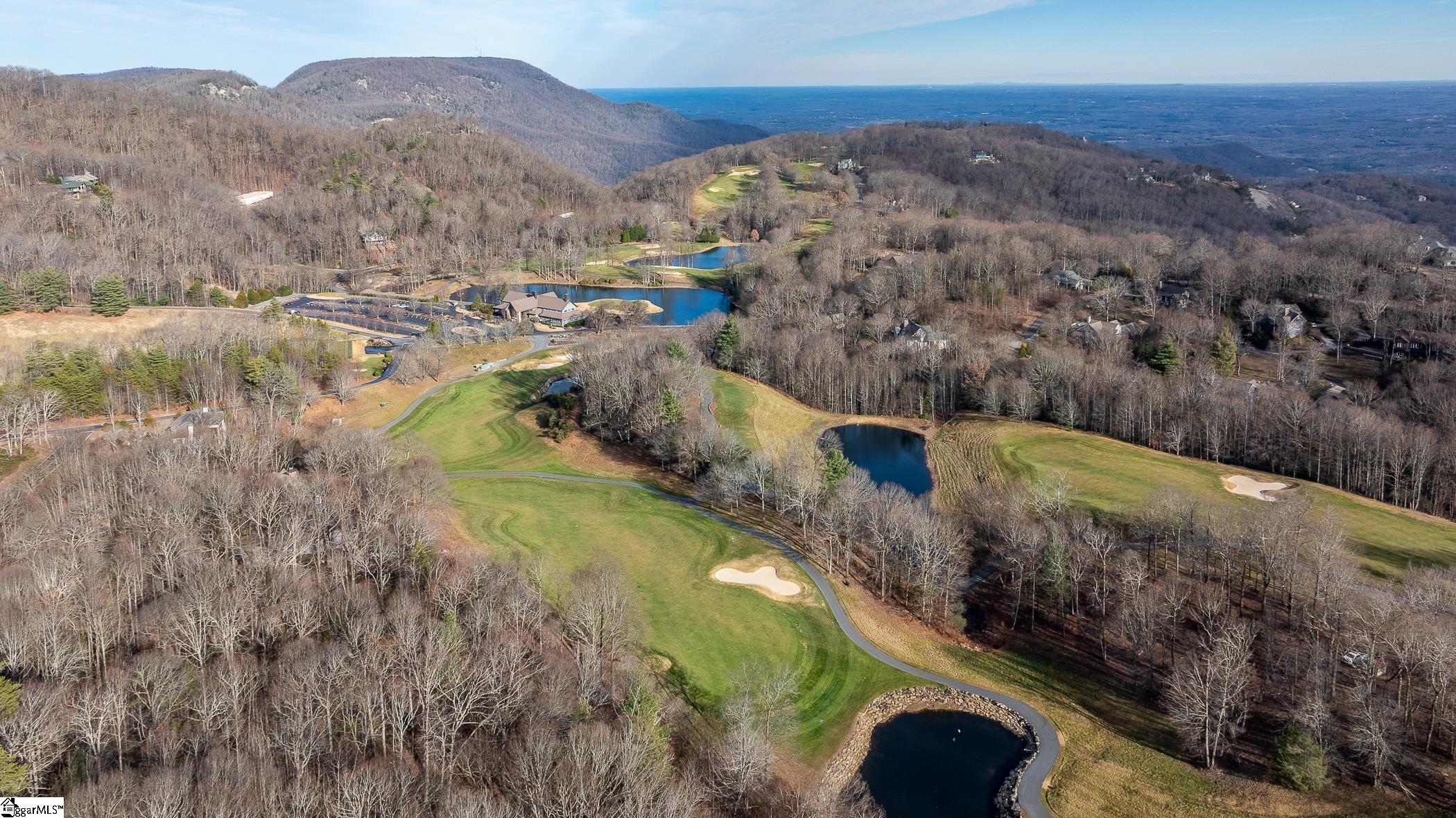 112 Blazing Star Trail Landrum, SC 29356 - Photo 50 of 50