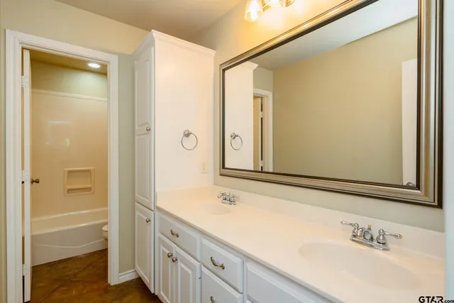 a bathroom with a sink and a mirror