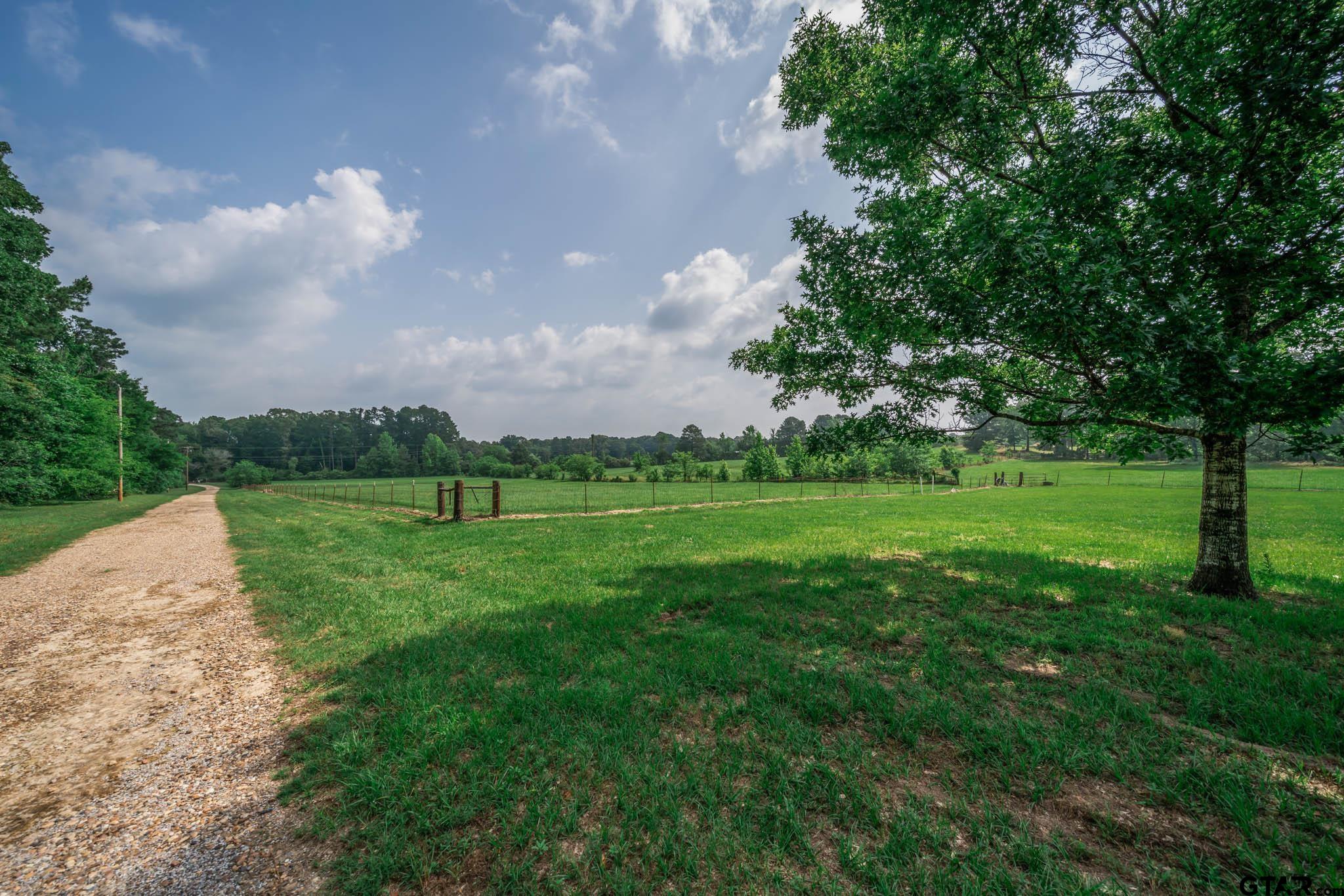 3460 Hawk Road Diana, TX 75640 - Photo 4 of 40 a view of a golf course with a garden