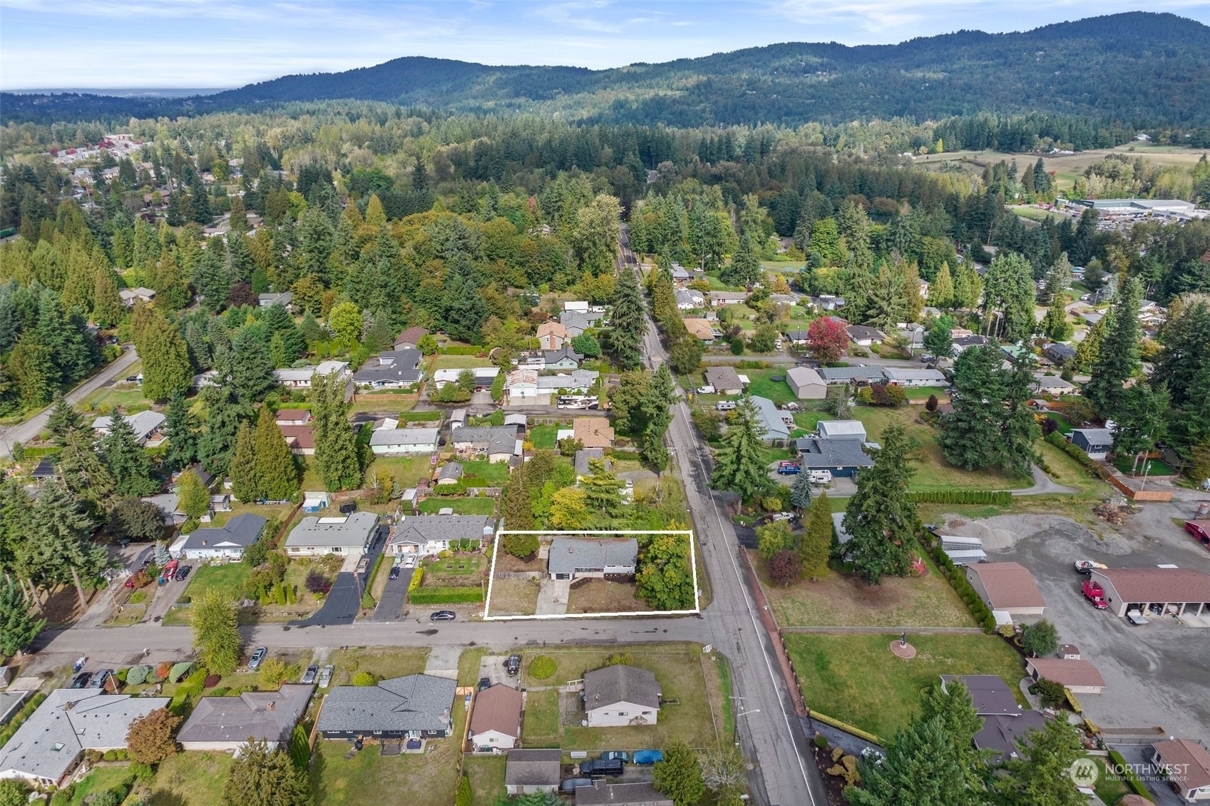 15846 Southeast 132nd Place Renton, WA 98059 - Photo 11 of 37 an aerial view of residential houses with outdoor space and trees