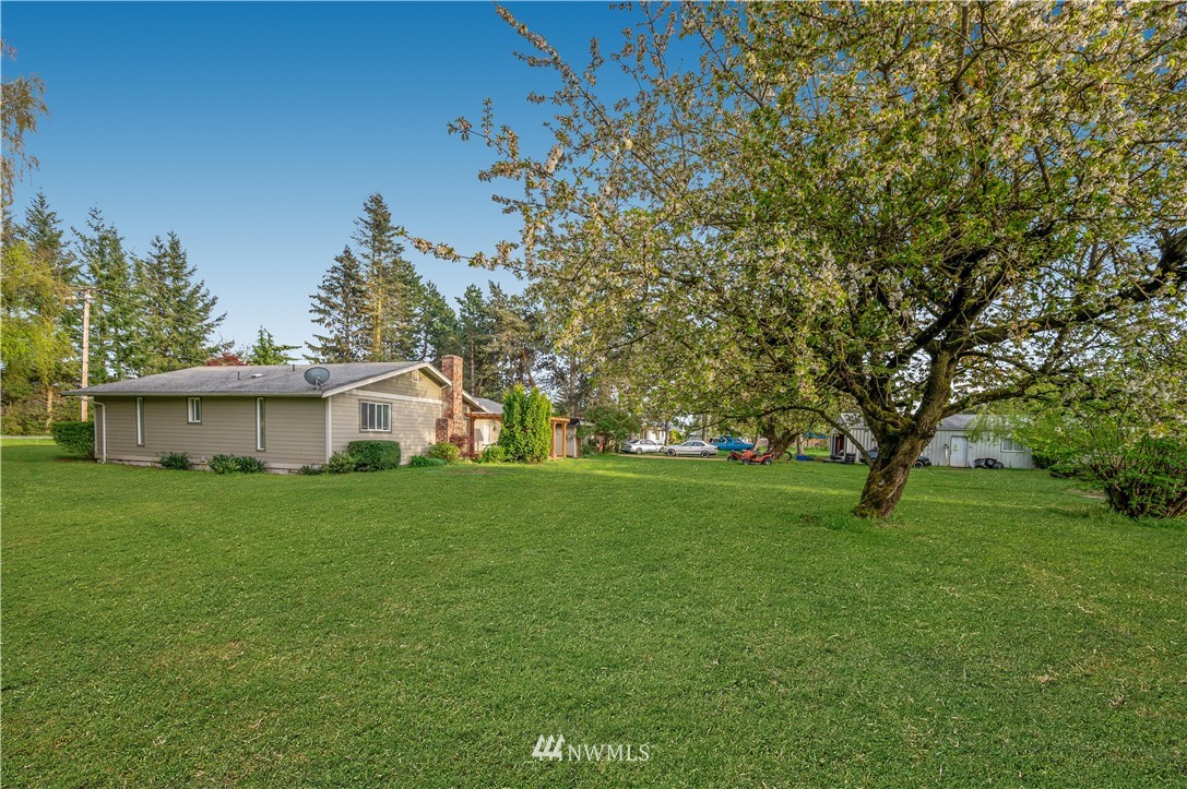 6891 Old Guide Road Lynden, WA 98264 - Photo 29 of 32 a view of a big yard with plants and large trees