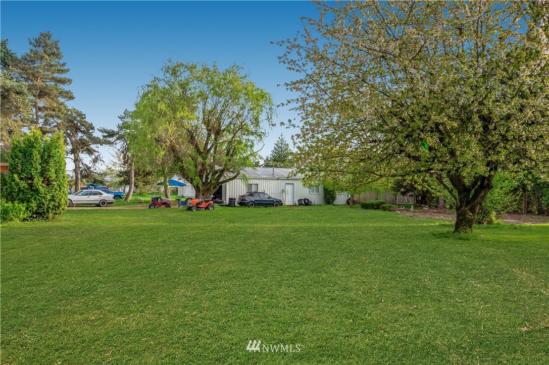 6891 Old Guide Road Lynden, WA 98264 - Photo 31 of 32 a view of a trees in front of a house
