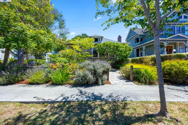 a plant with a plant