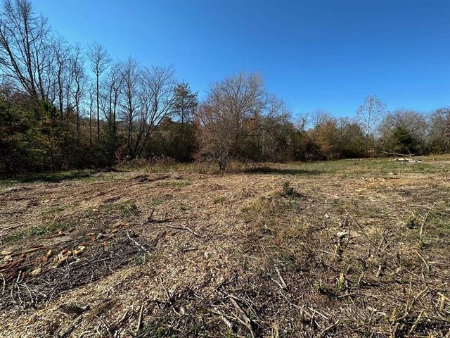 160 Spivey Creek Road Landrum, SC 29356 - Photo 1 of 3