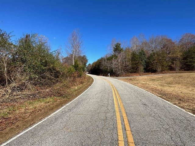 160 Spivey Creek Road Landrum, SC 29356 - Photo 2 of 3